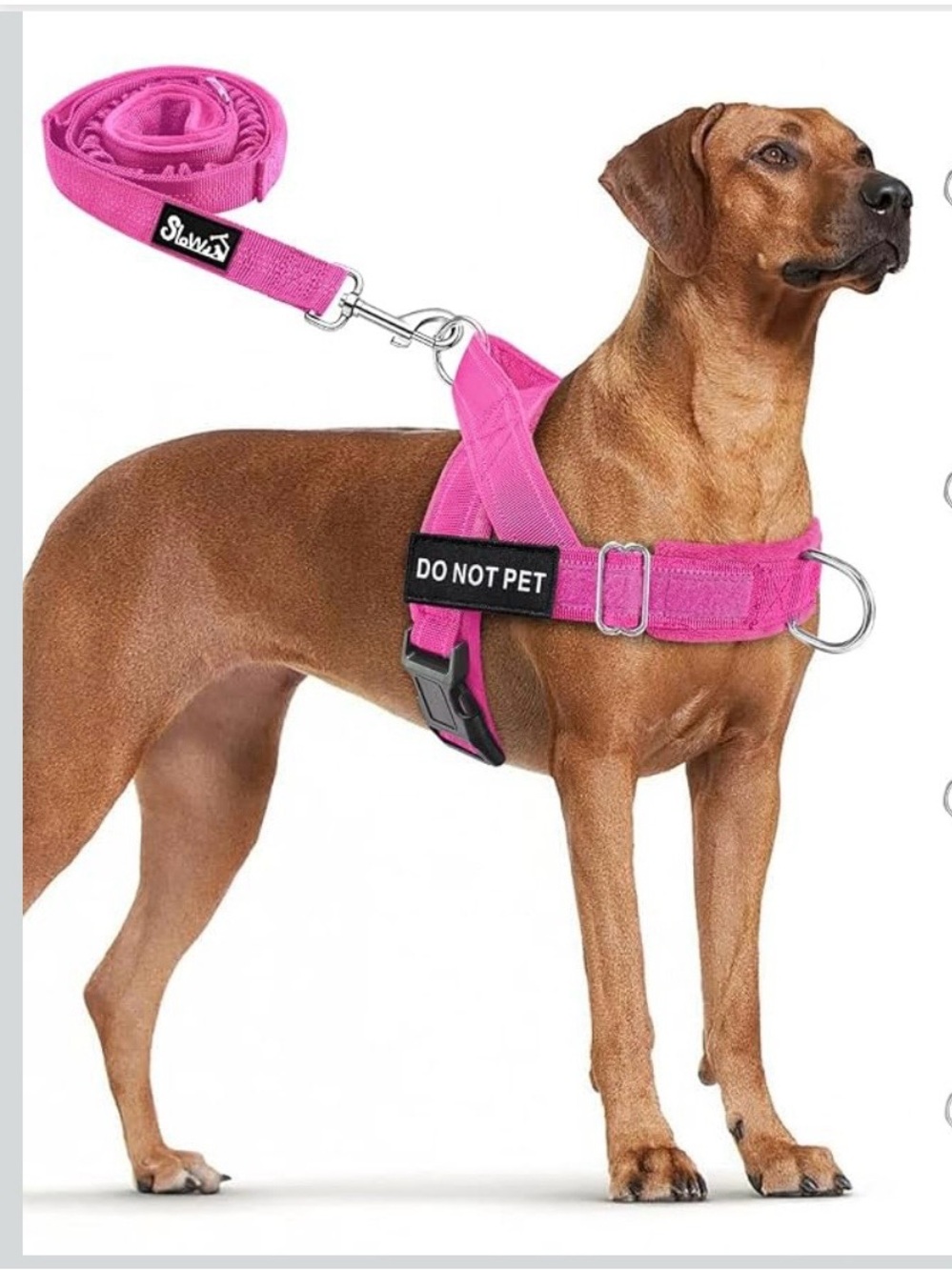 Lukovee No Pull Dog Harness and Leash Set, Soft Padded W/5ft Leash L. 537/DC-1:v